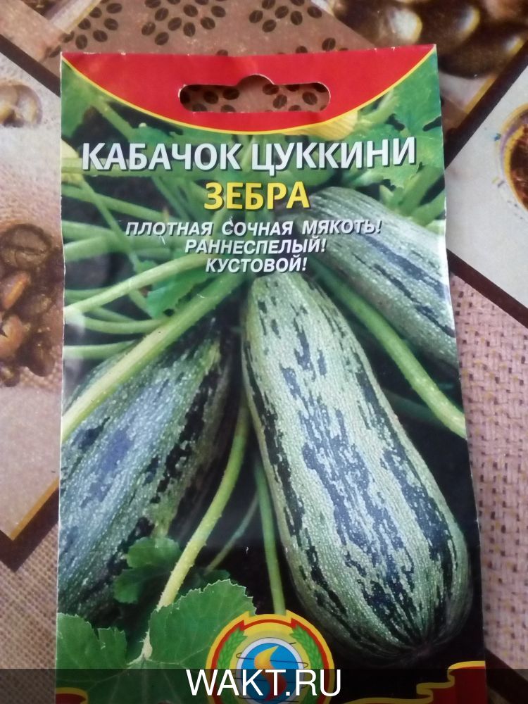 Кабачок Зебра(цуккини)