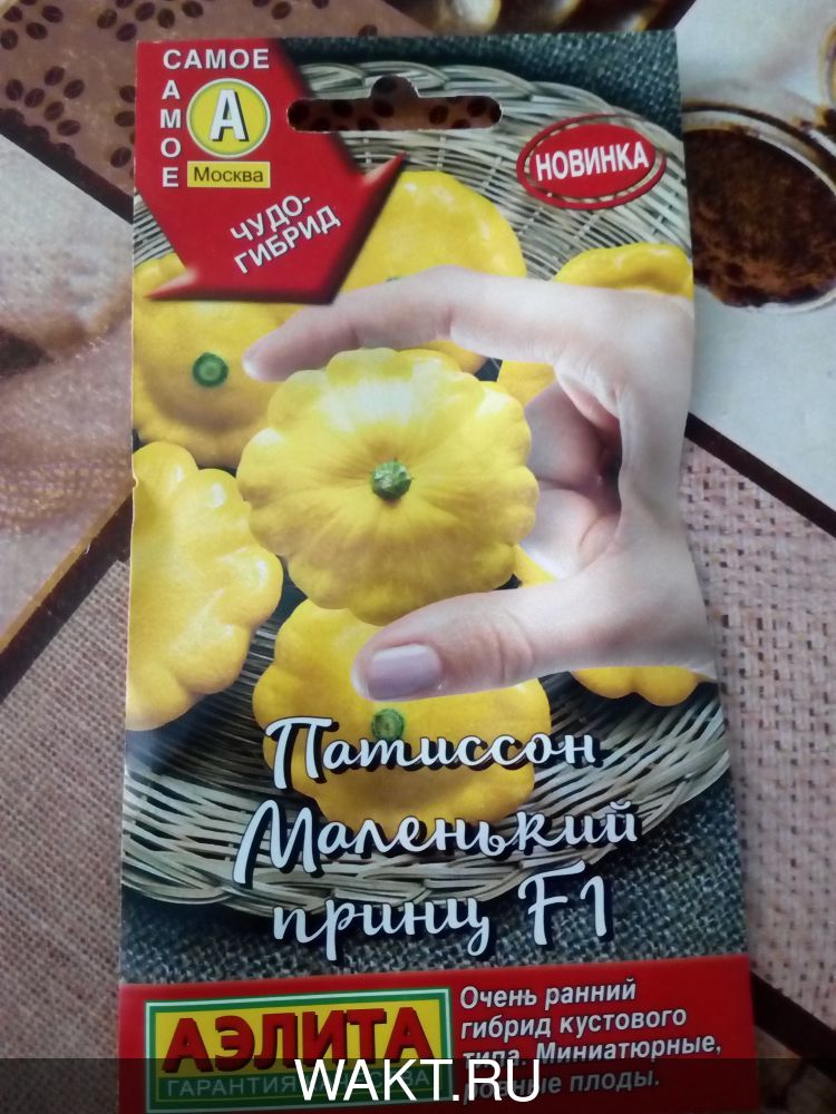 Патиссон Маленький принц F1