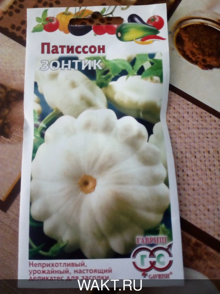 Патиссон Зонтик