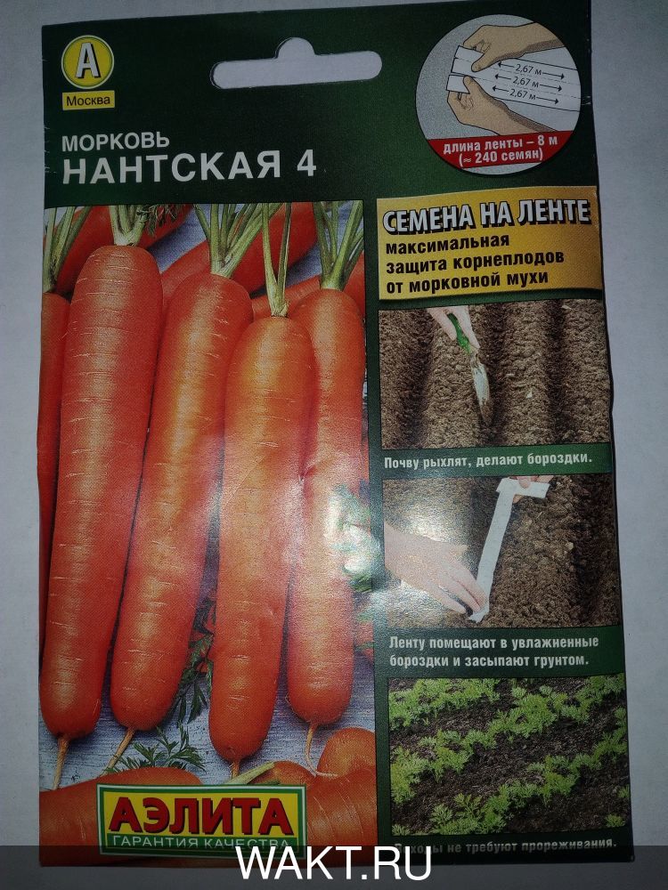 Морковь Нантская 4