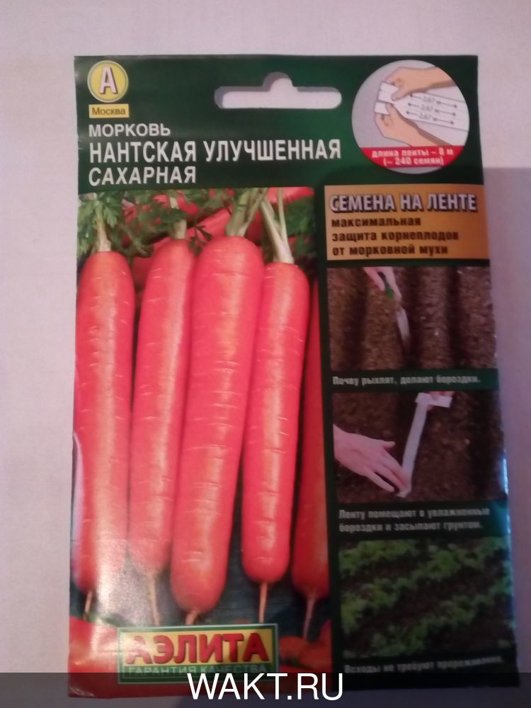 Морковь Нантская улучшенная сахарная