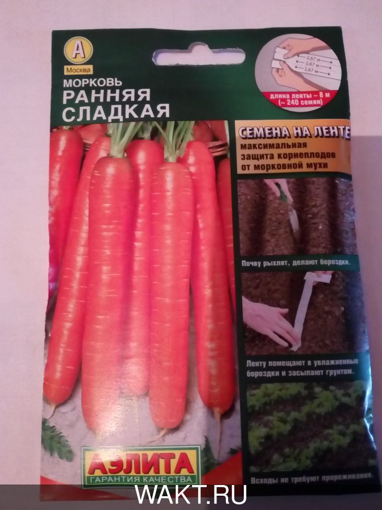 Морковь Ранняя сладкая