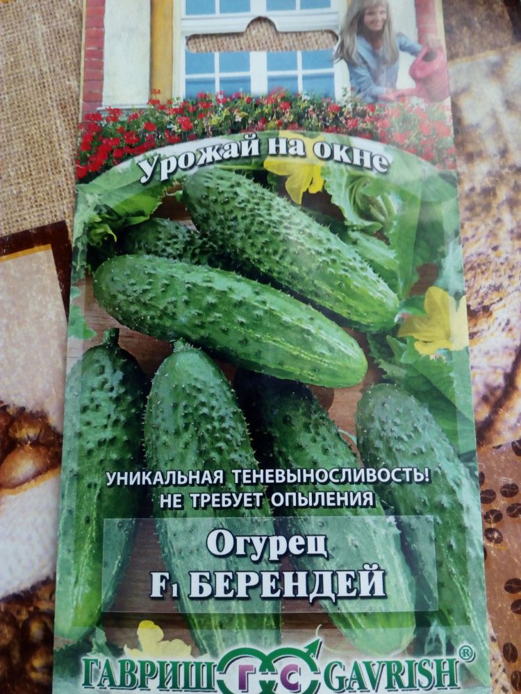 Огурец Берендей F1