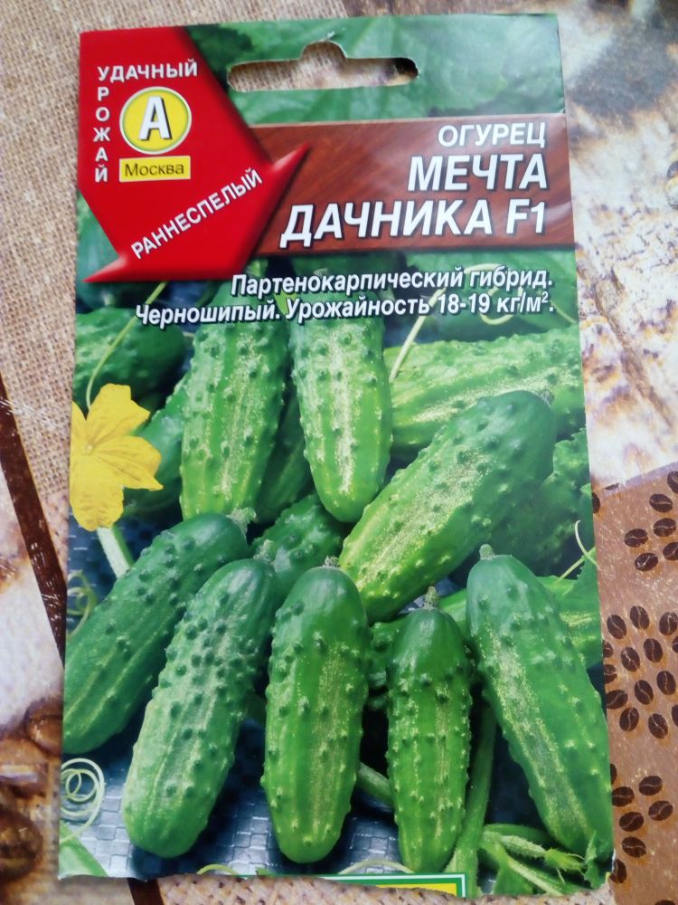 Огурец Мечта дачника F1