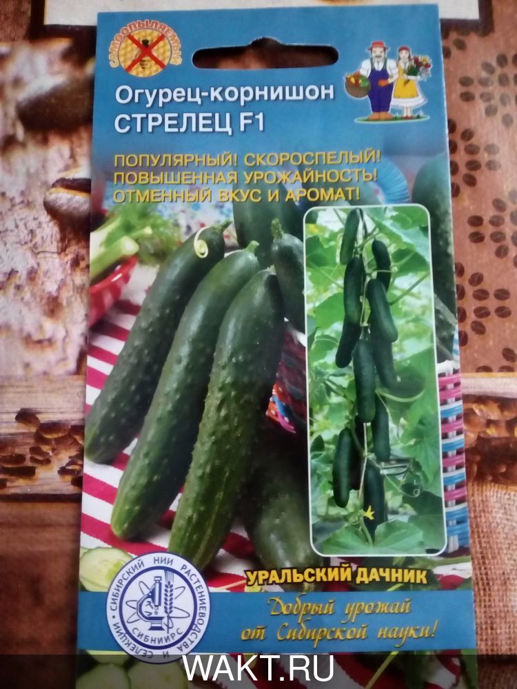 Огурец-корнишон Стрелец F1