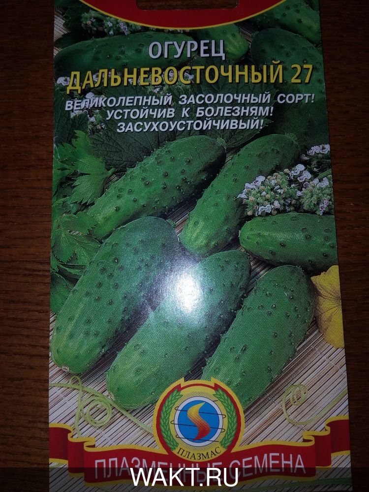 Огурец Дальневосточный 27