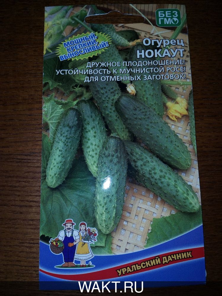 Огурец Нокаут