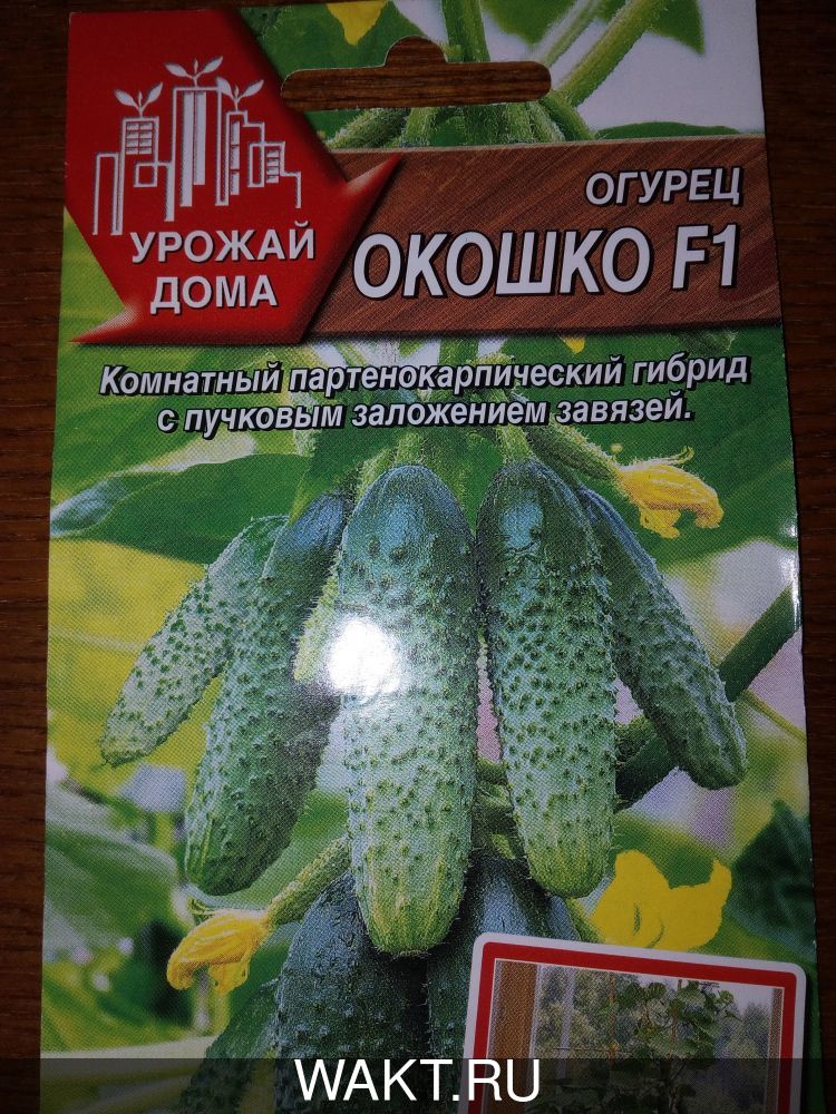 Огурец Окошко F1
