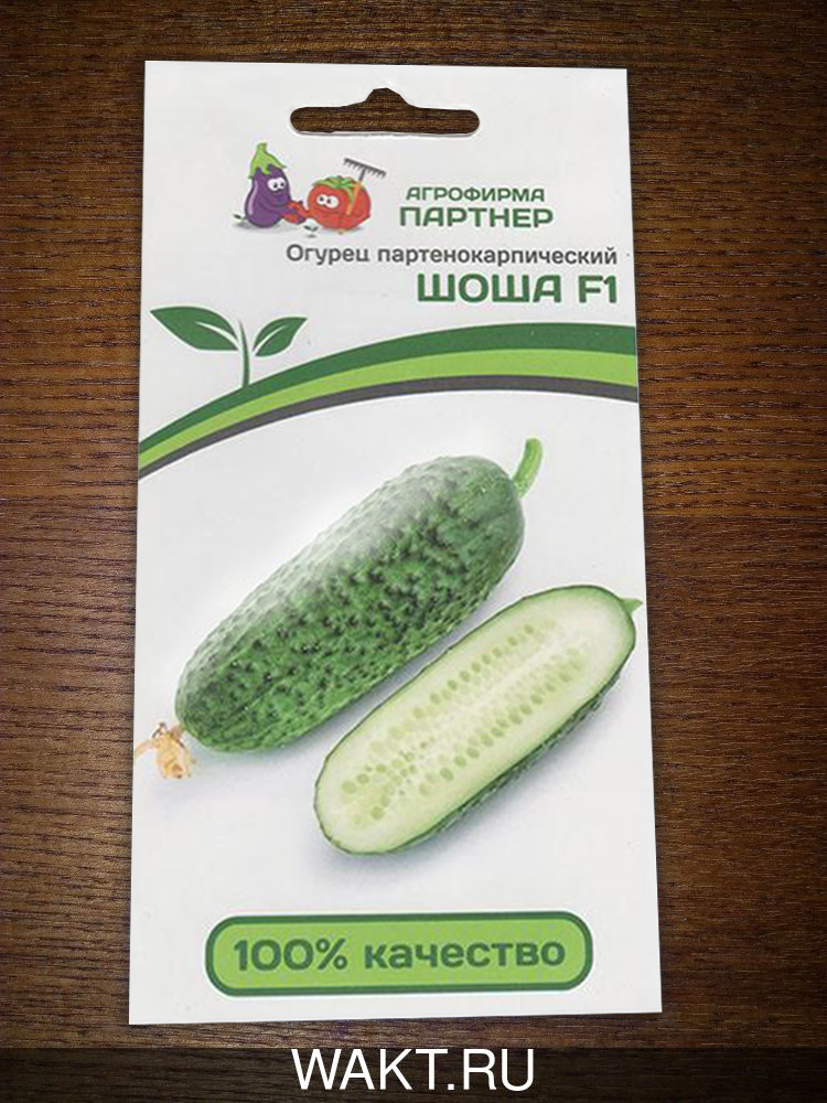 Огурец Шоша