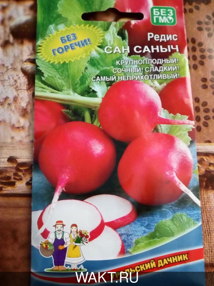 Редис Сан Саныч