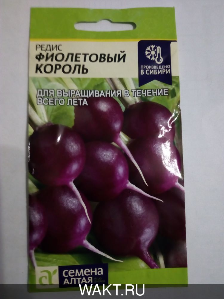Редис Фиолетовый король