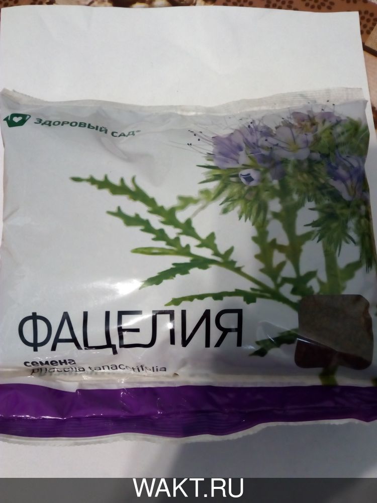 Фацелия