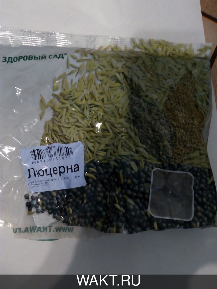 Люцерна