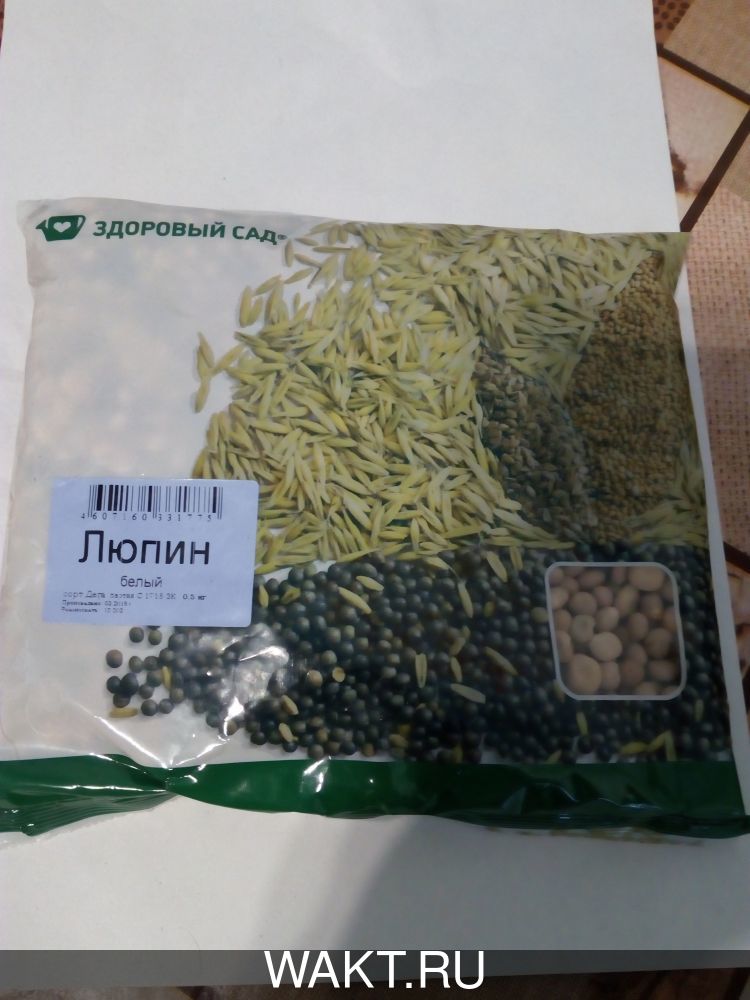 Люпин