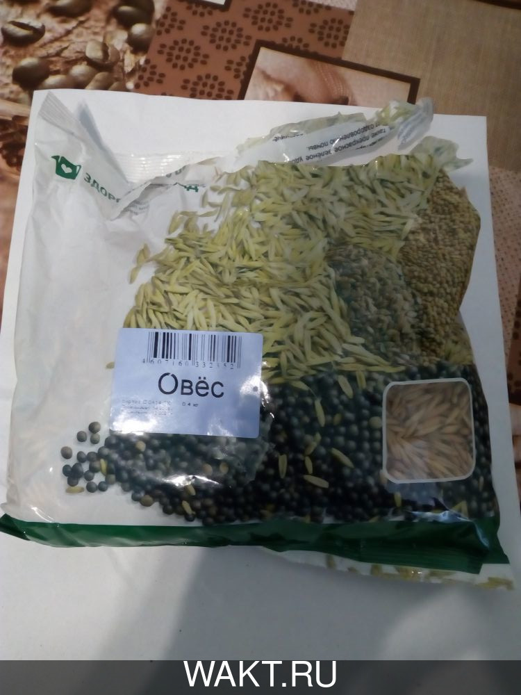 Овес