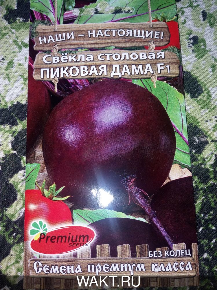 Свекла Пиковая Дама