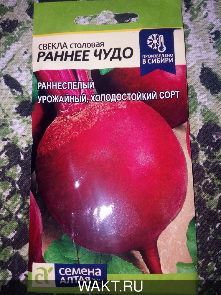 Свекла Раннее чудо