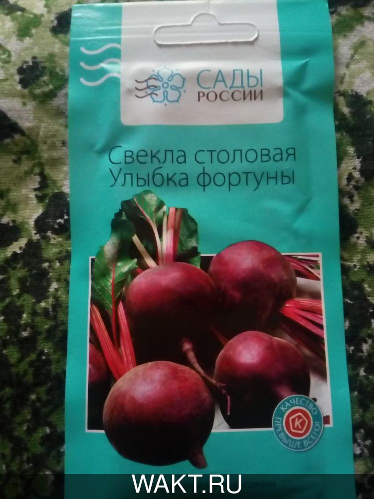 Свекла Улыбка фортуны