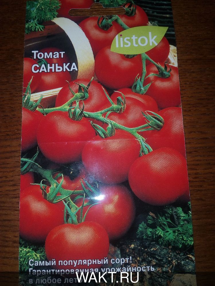 Томат Санька