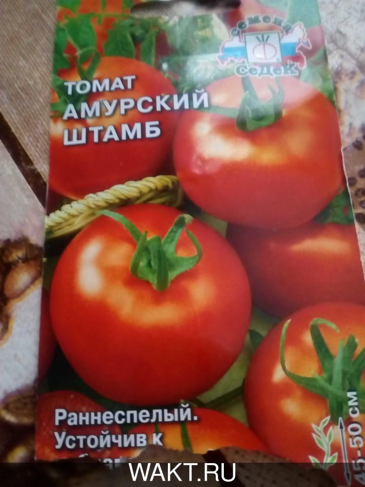 Томат Амурский штамб