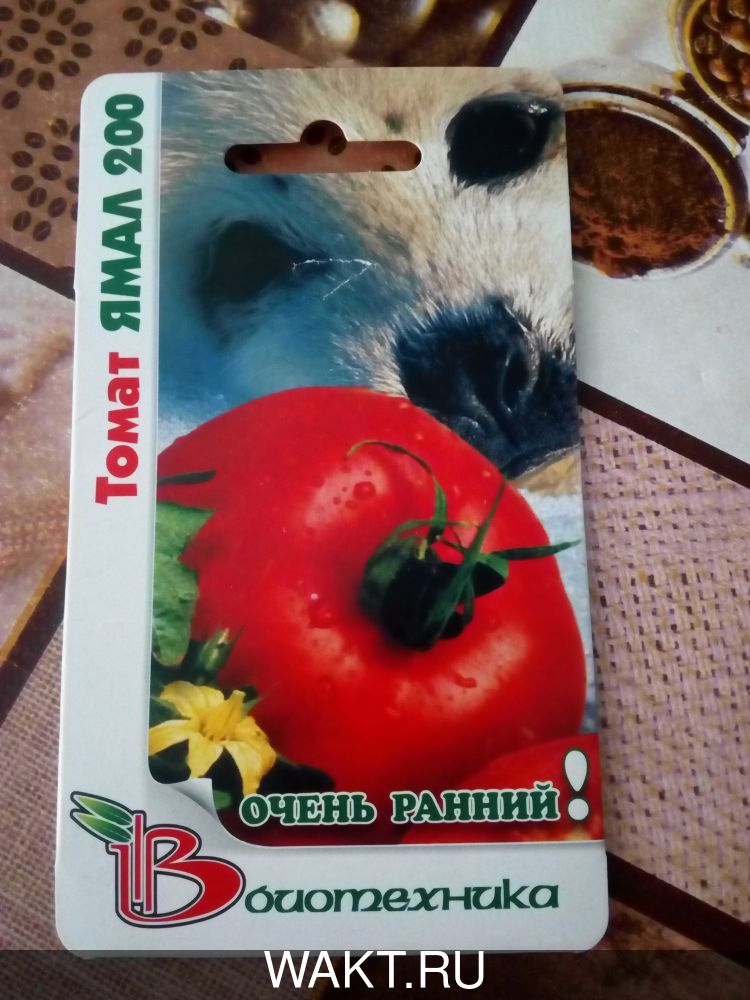 Томат Ямал 200