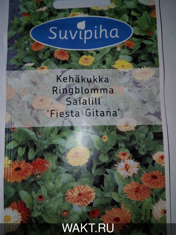 Календула Фиеста Гитана однолетняя
