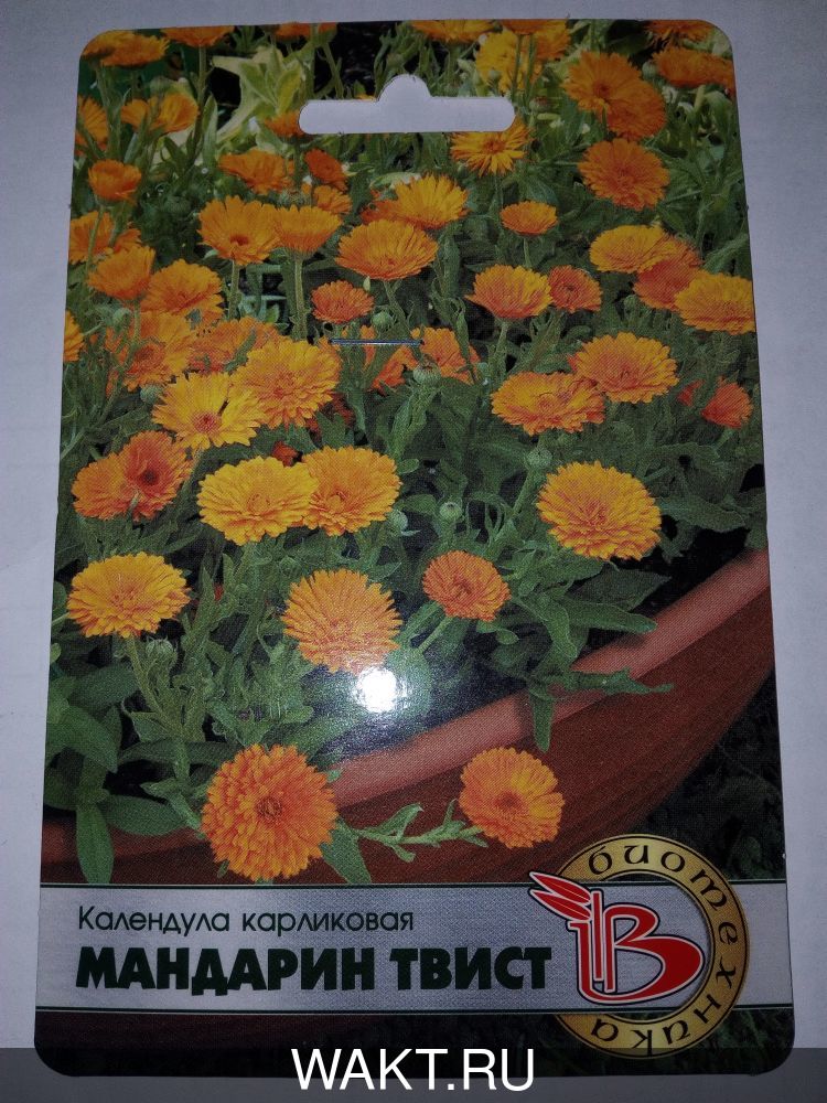 Календула карликовая Мандарин Твист