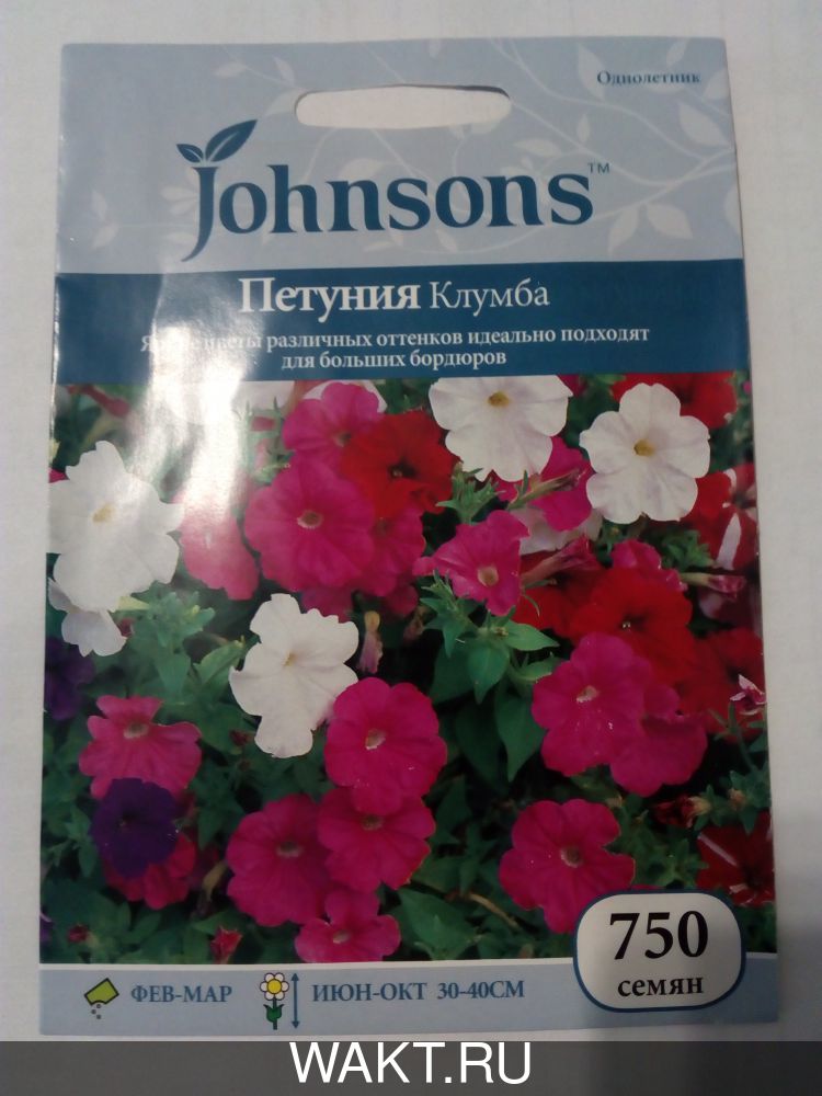 Петуния Клумба