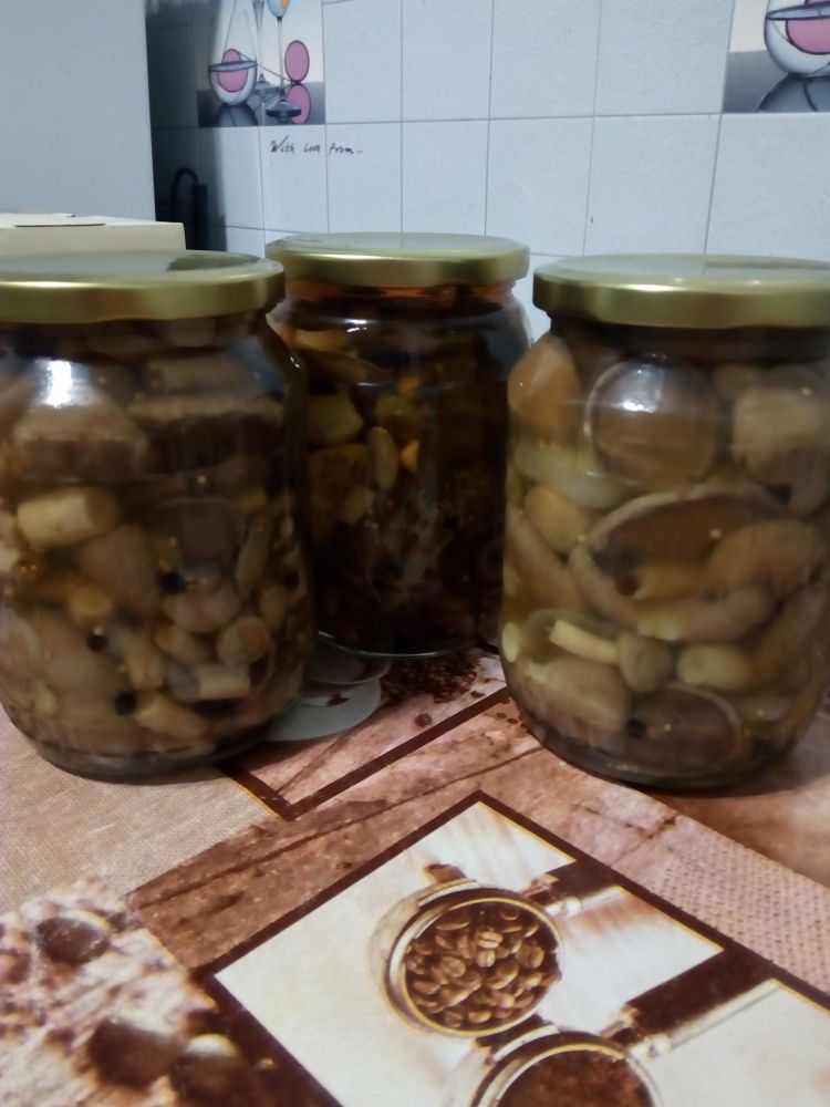Заготовки - Маринады - Грибы маринованные Маслята. © WAKT.RU